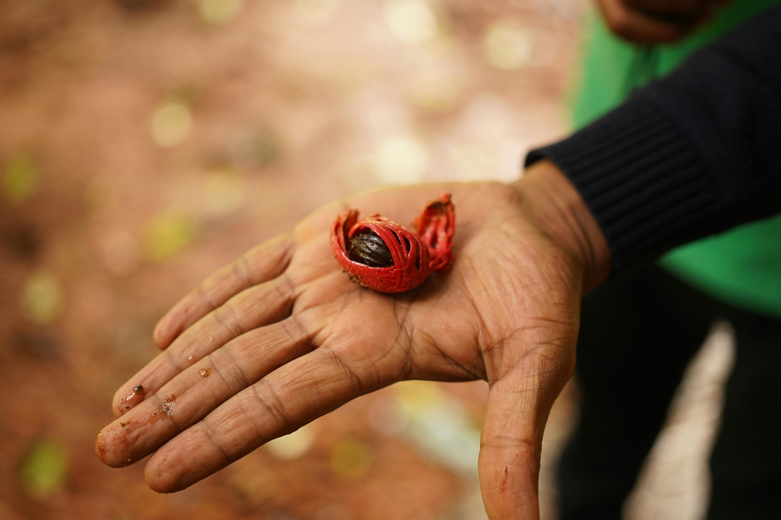 How To Infuse Honey With Herbs For Unique Culinary Gifts