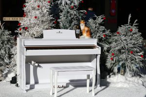 Why Music Metadata Is Crucial For Getting Paid Properly